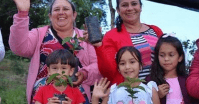 GOBIERNO MUNICIPAL FORTALECE EL EMPRENDIMIENTO ENTREGANDO 15.000 PLÁNTULAS DE CAFÉ EN EL SECTOR RURAL DE OCAÑA