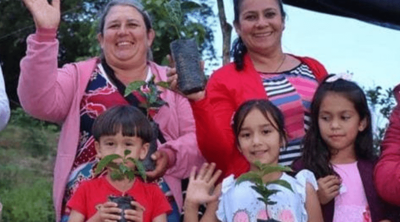GOBIERNO MUNICIPAL FORTALECE EL EMPRENDIMIENTO ENTREGANDO 15.000 PLÁNTULAS DE CAFÉ EN EL SECTOR RURAL DE OCAÑA