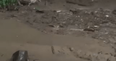 Fuertes lluvias de las últimas horas generaron crecientes súbitas en las Quebradas Grande y El Tigre del municipio de El Carmen