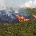 Incendio en las liscas.