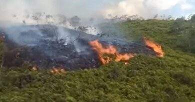 Incendio en las liscas.