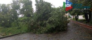 Fuertes lluvias