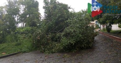 Fuertes lluvias