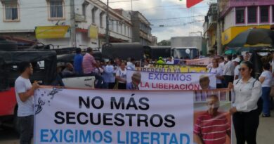 Marchas por la seguridad