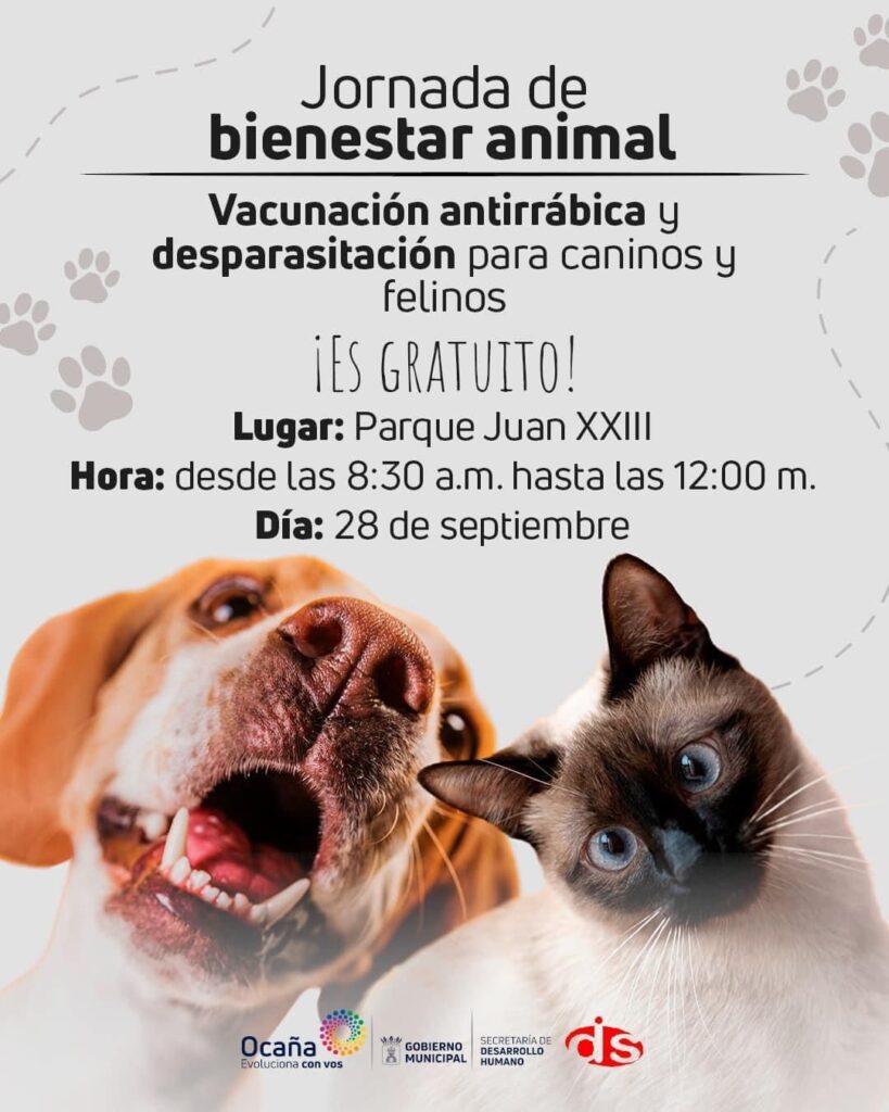 Bienestar animal