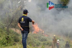 los seguros