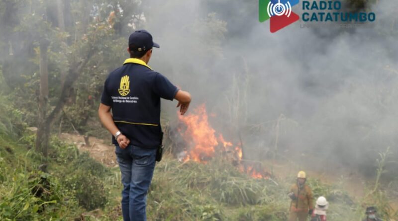 los seguros