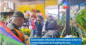Las autoridades ambientales han intensificado los controles para evitar la comercialización de la palma de cera, una especie en vía de extinción / Foto: ambientebogota