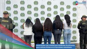 Desarticulada estructura ilegal, conocida como “Los Distribuidores” / Foto: Policia Nacional 