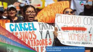 Imagen de referencia – Marcha en contra del maltrato animal en Ocaña, Norte de Santander / Foto: Aristegui Noticias 