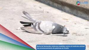 Imagen de referencia - El secretario de Medio Ambiente de Norte de Santander, Cristhiam Jiménez, anunció sanciones ejemplares contra quienes cometan actos de maltrato animal en el departamento / Foto: Shutterstock