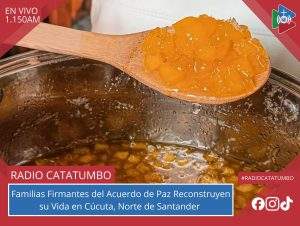 A traves del programa "Fincas para la Paz" del Plan Catatumbo la ANT muestra todo lo que se ha venido trabajando con 35 familias firmantes del Acuerdo de Paz en la “Finca Puerto Rico” ubicada en la ciudad de Cúcuta, Norte de Santander / Foto: Suministrada