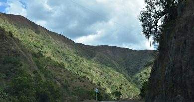 Foto tomada de internet