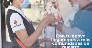 Día de la banderita