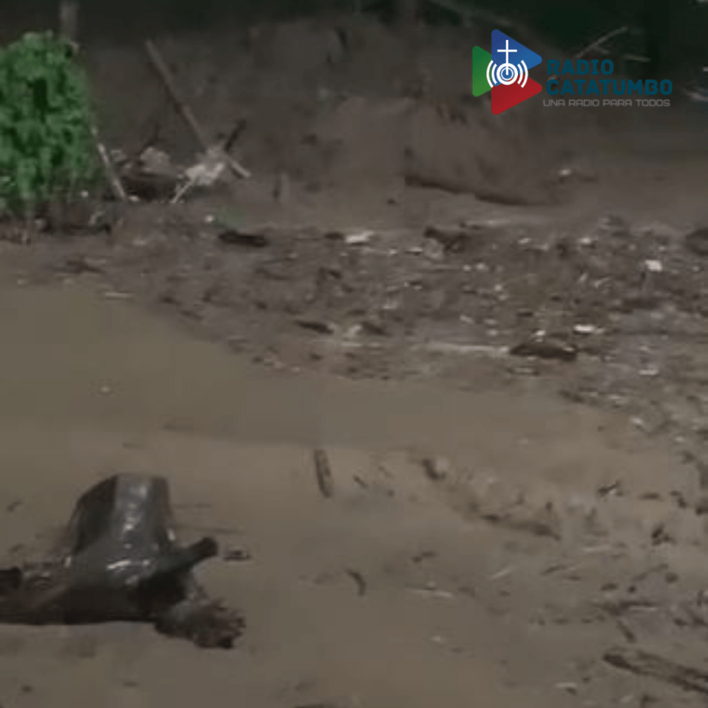 Fuertes lluvias de las últimas horas generaron crecientes súbitas en las Quebradas Grande y El Tigre del municipio de El Carmen