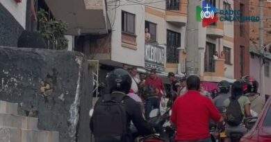 Paloterapia a ladrón
