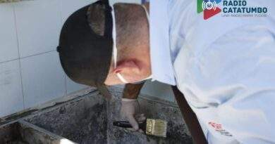 Estrategia contra el dengue