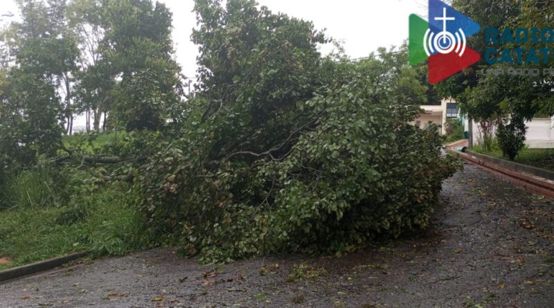 Fuertes lluvias