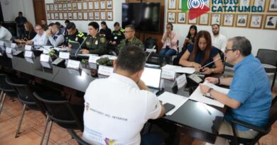Consejo de seguridad