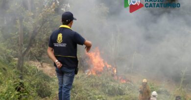 los seguros