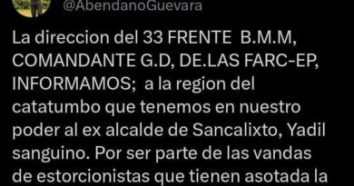 Plataforma X