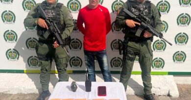 Dicidente de las FARC