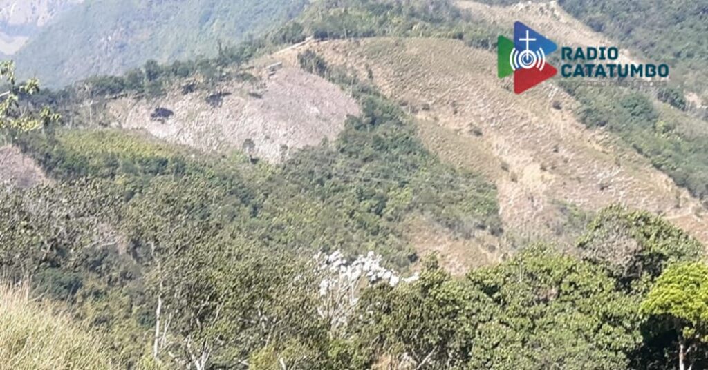 Tala indiscriminada