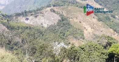 Tala indiscriminada