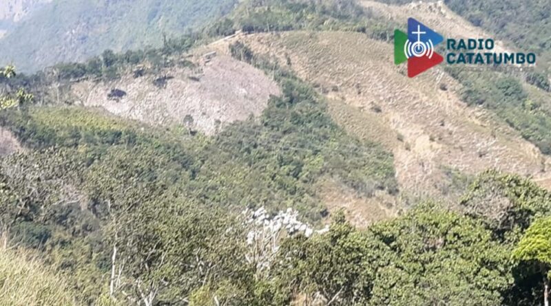 Tala indiscriminada