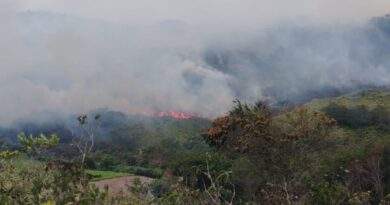 Incendio forestal registrado en la vereda El Apial, zona rural del municipio de Ocaña, Norte de Santander / Foto: Suministrada