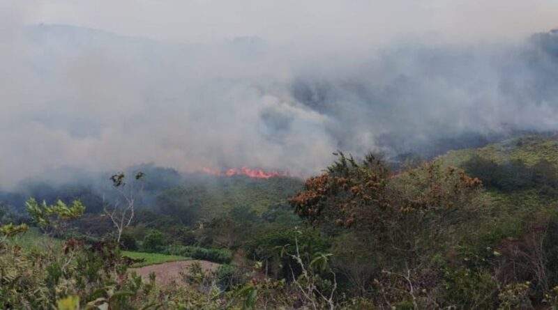 Incendio forestal registrado en la vereda El Apial, zona rural del municipio de Ocaña, Norte de Santander / Foto: Suministrada