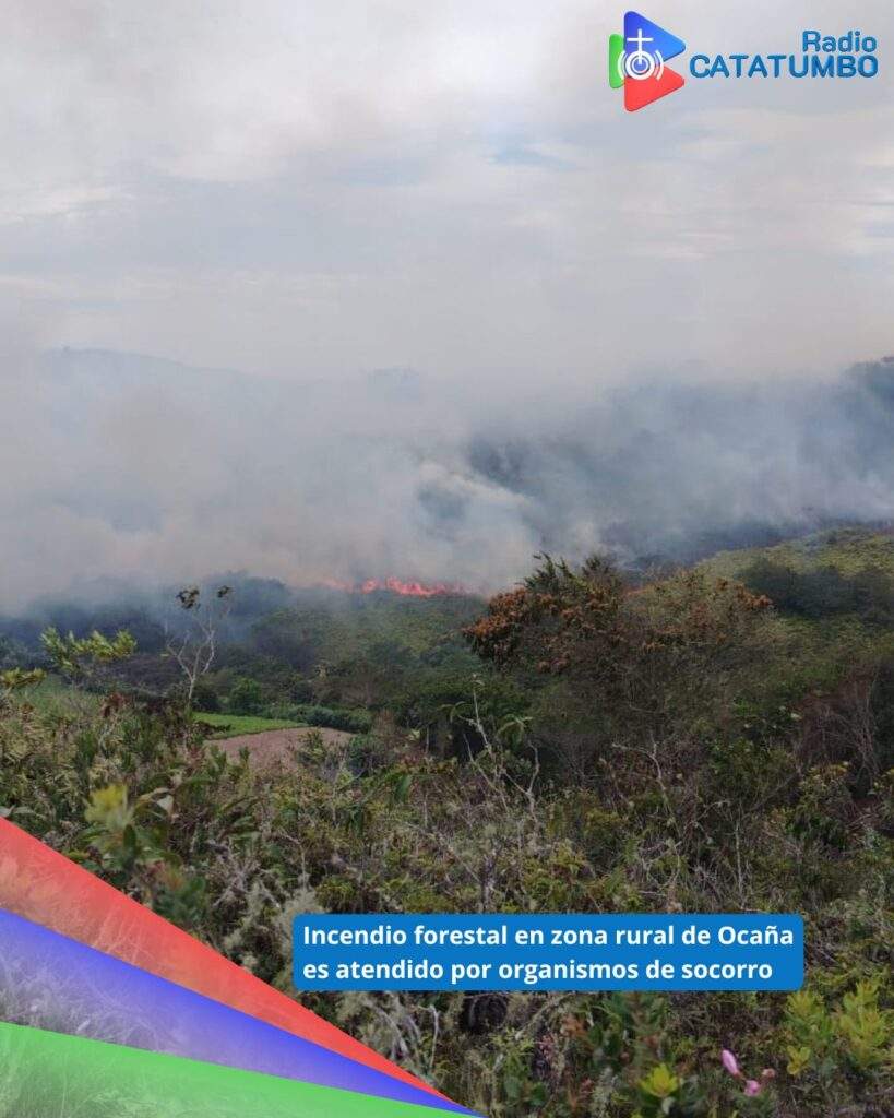 Incendio forestal registrado en la vereda El Apial, zona rural del municipio de Ocaña, Norte de Santander / Foto: Suministrada
