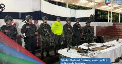 Material de guerra incautado al grupo armado ELN / Foto: Ejercito Nacional