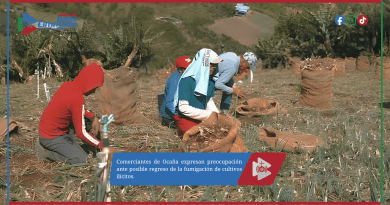 Comerciantes de Ocaña expresan preocupación ante posible regreso de la fumigación de cultivos ilícitos.