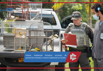 Policía Ambiental fortalece acciones de protección animal y control ambiental en Ocaña